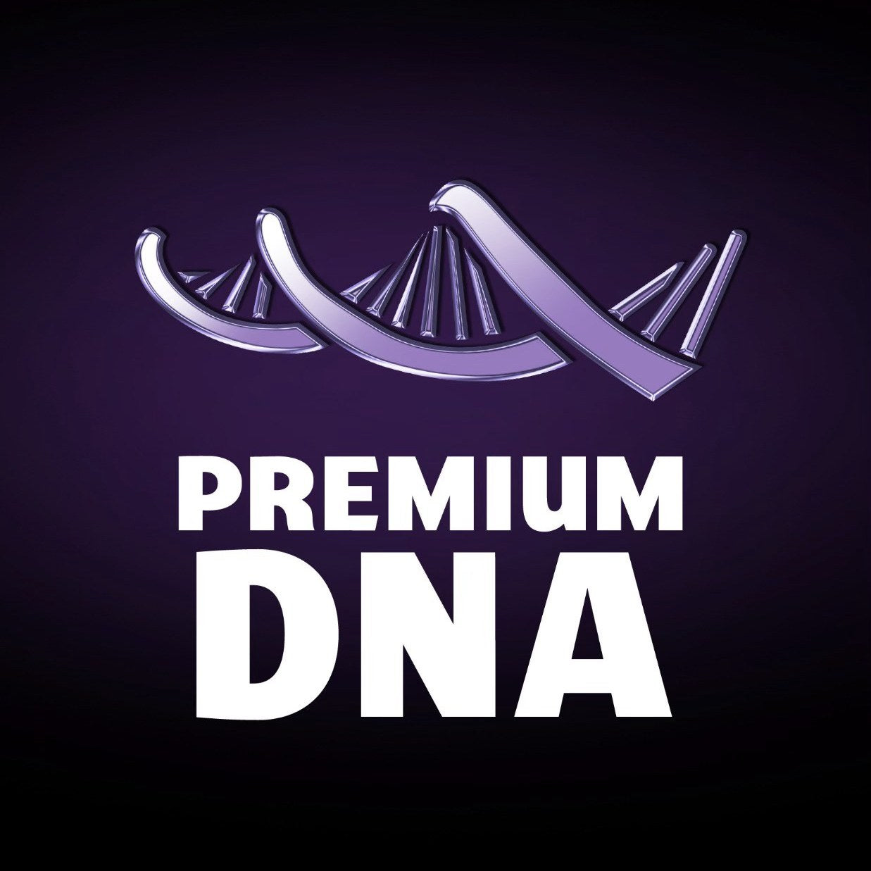 Premium DNA Toys Newsletter 2/19/2022