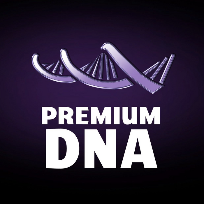 Premium DNA Toys Newsletter 2/11/2022