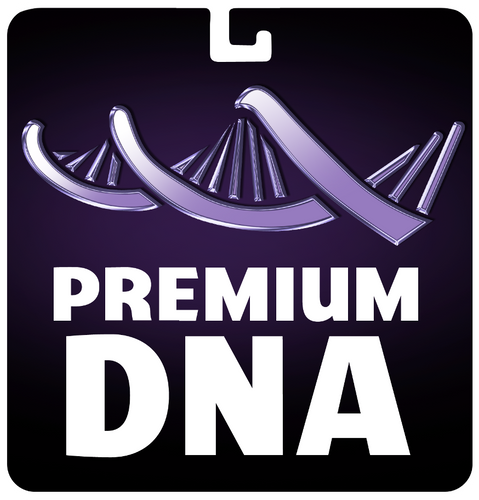 Premium DNA Toys Newsletter 2/4/2022